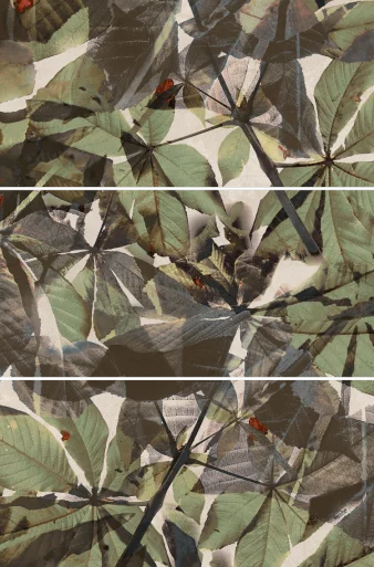 Kerbon Castaneo verde 60x120 privacy system